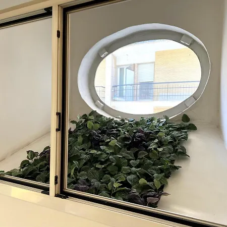 Bienvenue 3 Apartment *